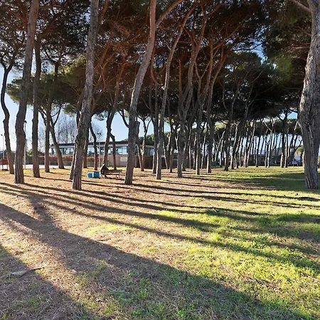 Two-room Sea View * Marina Di Carrara