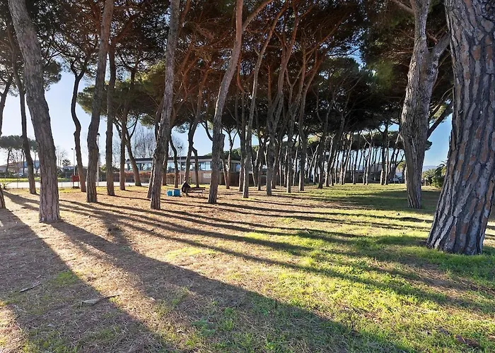 Two-room Sea View * 마리나 디 카라라